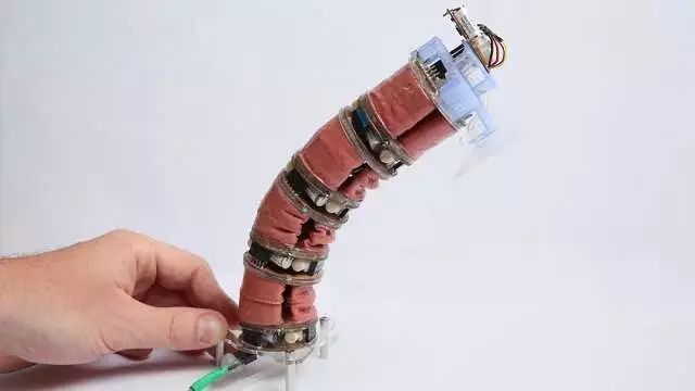 模块化真空软壳机器人能爬墙还能抓东西